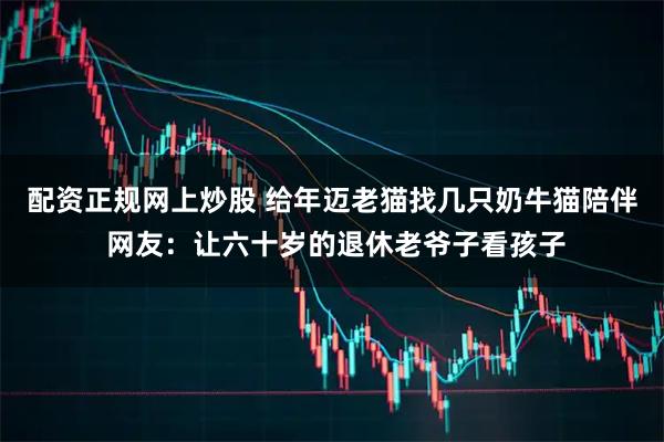配资正规网上炒股 给年迈老猫找几只奶牛猫陪伴 网友：让六十岁的退休老爷子看孩子